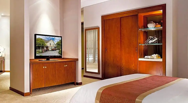 Люкс Nanjing Expo Center Hotel