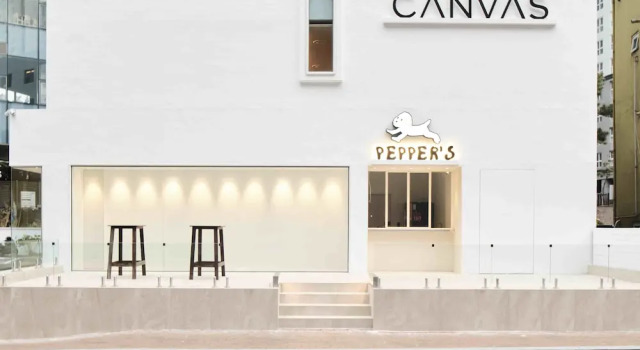 Canvas Hostel