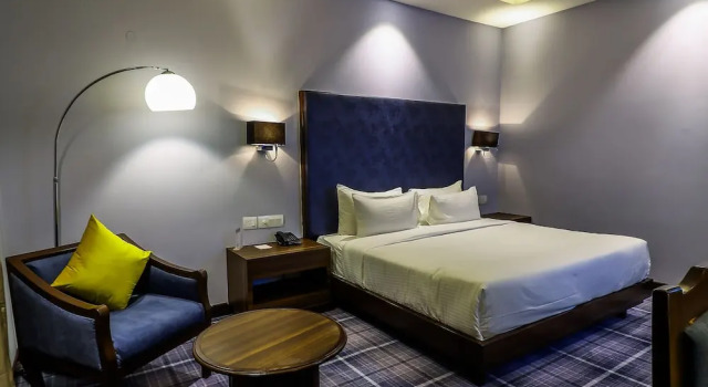 Номер Deluxe Hotel Piccadily Raipur