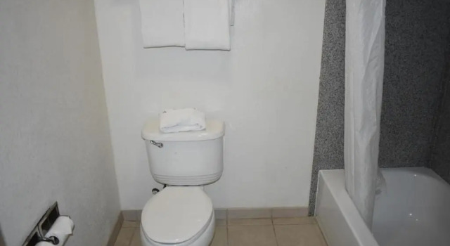 Номер Standard Hotel Belmont
