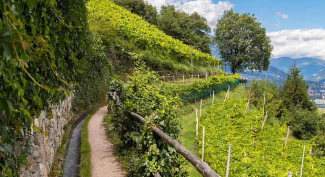 im garten 9