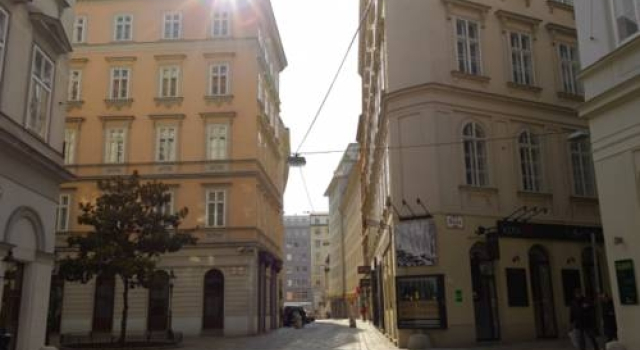 Apartment Palace Vienna, Забронировать Апартаменты/квартира Апартаменты Вены, рядом с Херренгассе, Апартаменты/квартира