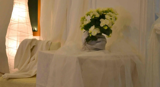 Hotel Bracco, Prenota Hotel Loreggia Veneto