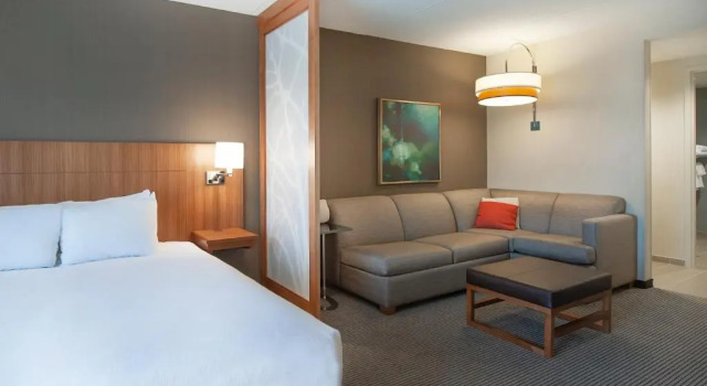 Двухместный номер с диваном-кроватью Hyatt Place Durham Southpoint