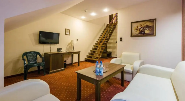 Студия Hotel Dziki Potok Karpacz