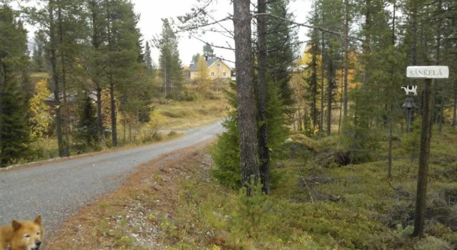 Коттедж с 2 комнатами Sänkelä Cottage