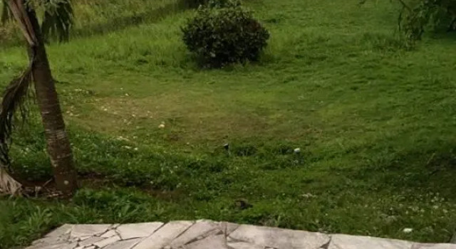 Appartement de 2 chambres avec jardin clos et wifi a Le Gosier a 5 km de la plage