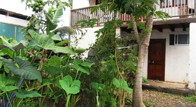 Rapa Nui Native Hostel, Prenota Ostello Ostelli a Hanga Roa, Ostello