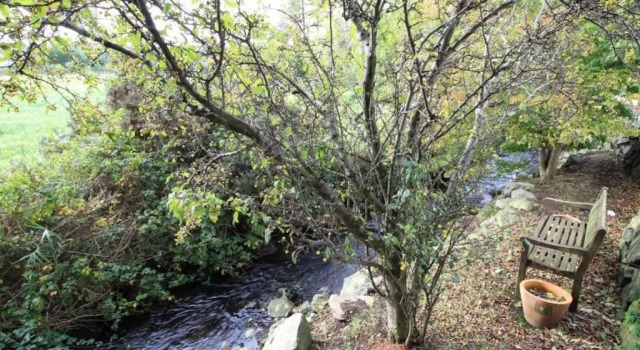 Коттедж Riverside Cottage at Logwood Mill