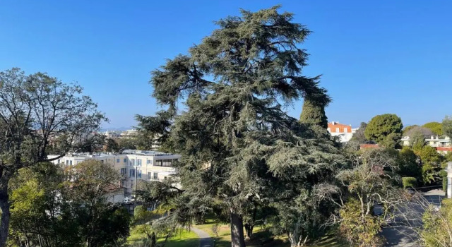 Апартаменты Bnb Renting Le Cèdre Spacious Studio In Cannes With A Balcony Wifi And Ac