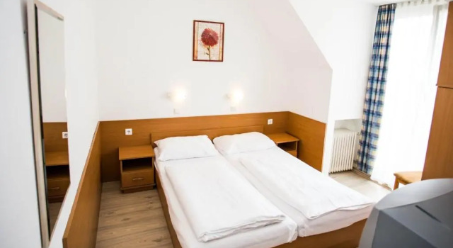 Двухместный номер Standard Hotel Geblergasse