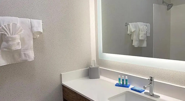 Run of House Holiday Inn Express & Suites Columbia-Fort Jackson by IHG