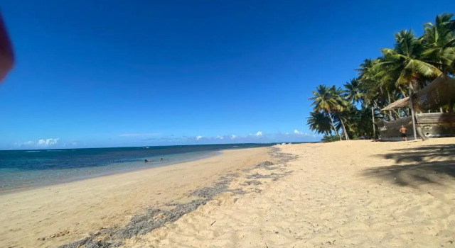 Апартаменты Las Terrenas beachfront 2 bedrooms condo with pool