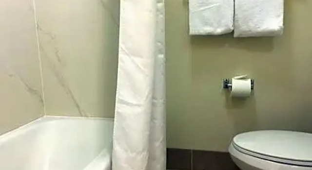 Четырёхместный номер Standard Loyal Inn