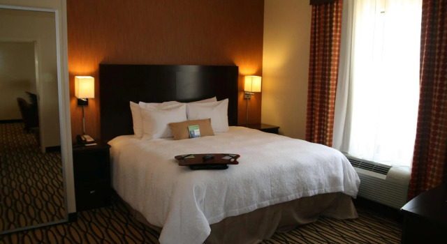 Двухместная студия Hampton Inn & Suites Morgan City