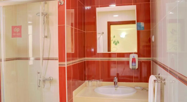 Двухместный номер Standard Hotel LIVVO Don Paco