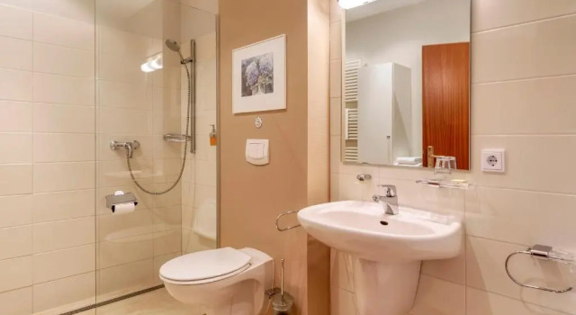 Одноместный номер Standard Hotel F-RITZ