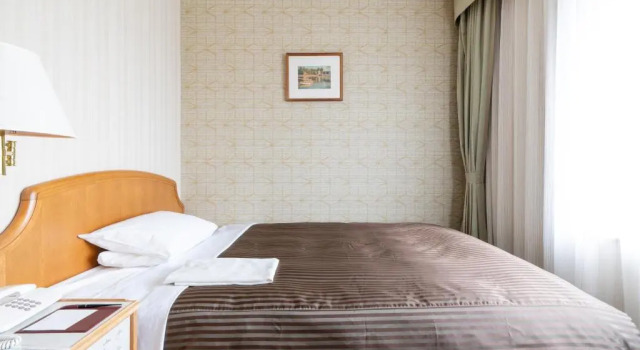 Двухместный номер Economy Hotel Okura Niigata