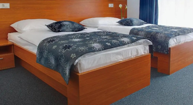 Двухместный номер Standard Hotel Delminivm
