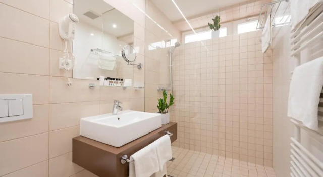 Номер Standard Hotel Vila Viola