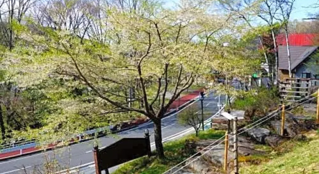 Pension Kofu - Vacation STAY 75580v, Buchen Sie Hotel Chino 