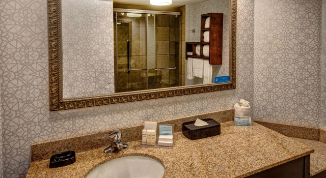 Двухместный номер Standard Hampton Inn Rocky Mount