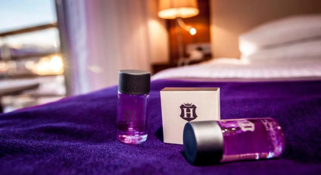 Номер Classic Business Palas Otel