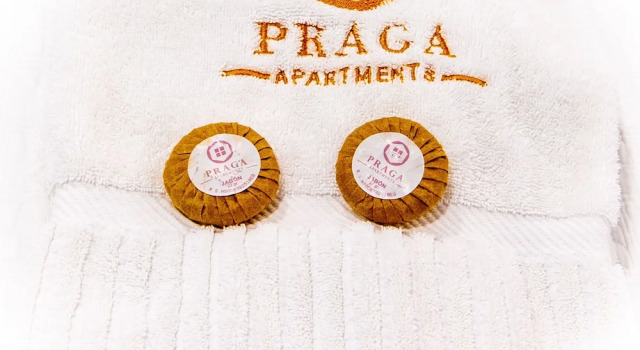 Апартаменты Deluxe с видом на город Praga Apartments