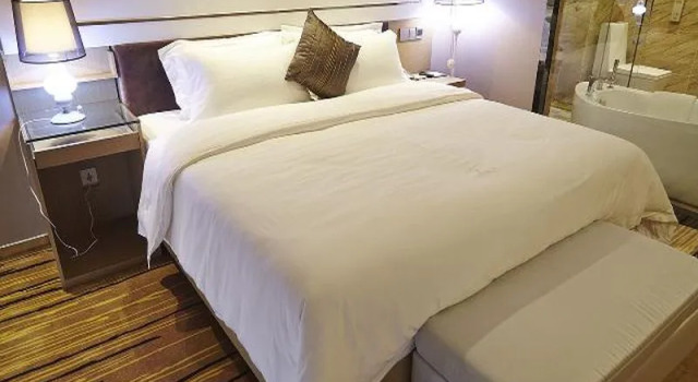 Люкс Business Lavande Hotel Xian Gaoxin Branch