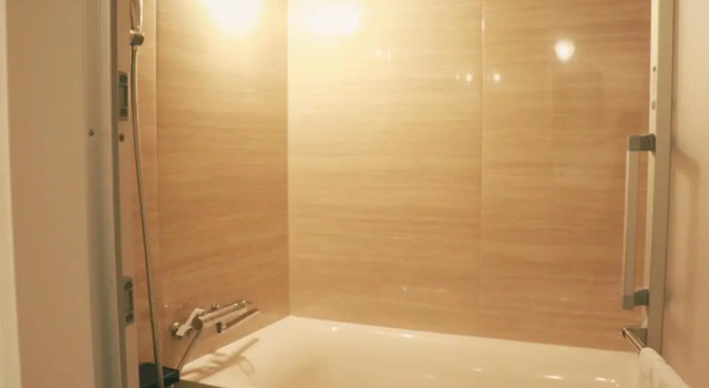 Двухместный номер Deluxe Hotel Vintage Tokyo Kagurazaka