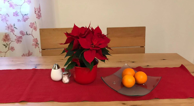 Apartment am Schlosspark 3, Prenota Appartamento Cheb 