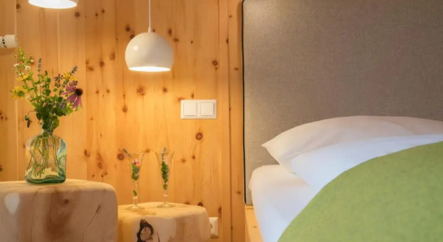 Двухместный номер Standard с видом на озеро Naturhotel Alpenrose
