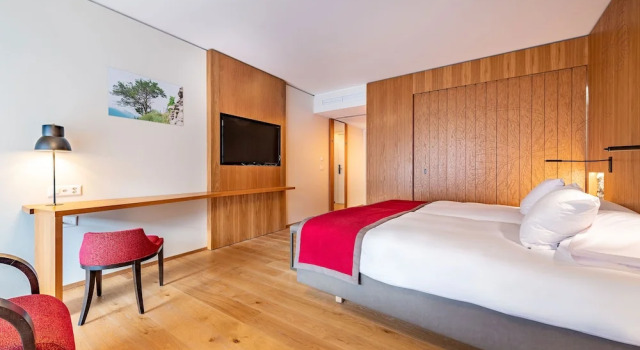 Двухместный номер Deluxe с балконом Hôtel des Bains de Saillon
