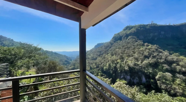 Апартаменты Grand La Palapa & Posada Mía