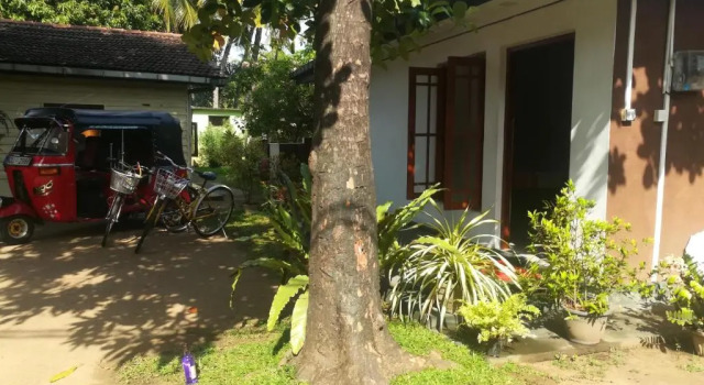 Arani Homestay