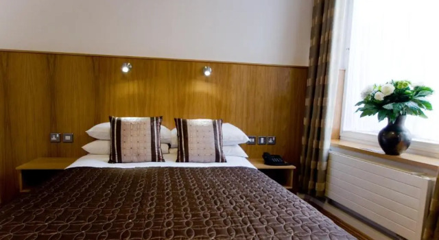 Четырёхместный номер Standard Blooms Hotel