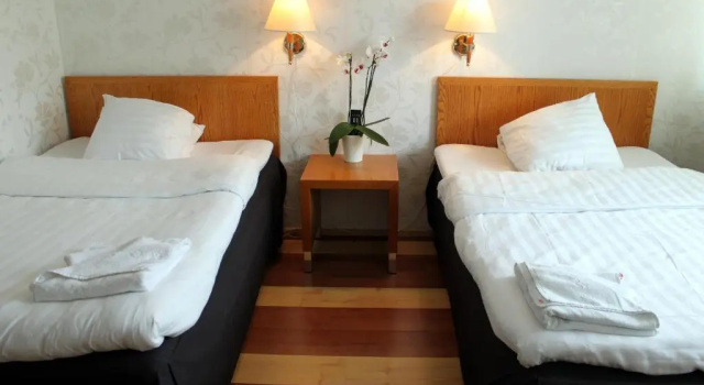 Двухместный номер Standard Hotel Alexander