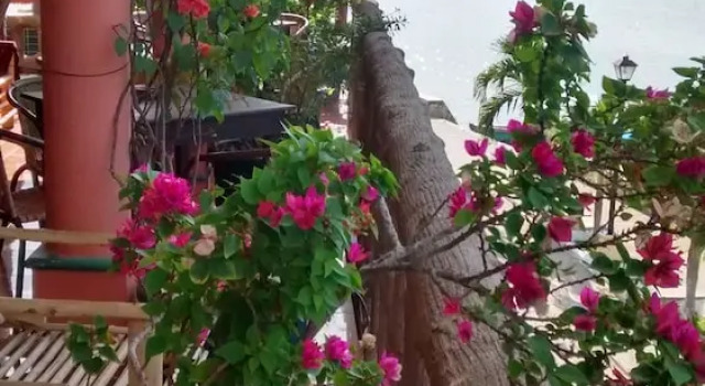 Hotel La Casa Del Lacandon, Đặt Khách sạn Khách sạn ở Flores bao gồm bữa sáng, Bữa sáng