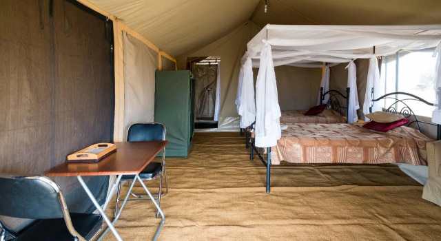 Serengeti Wild Camp, Prenota Campeggio Seronera Tanzania