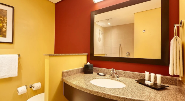 Люкс Courtyard by Marriott Leon at The Poliforum