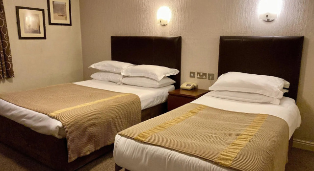 Семейный номер Standard Dubrovnik Hotel