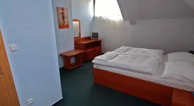 Hotel Čech, Забронировать Отель Отели Lednicko - Valticky areal 3 звезды, 3*