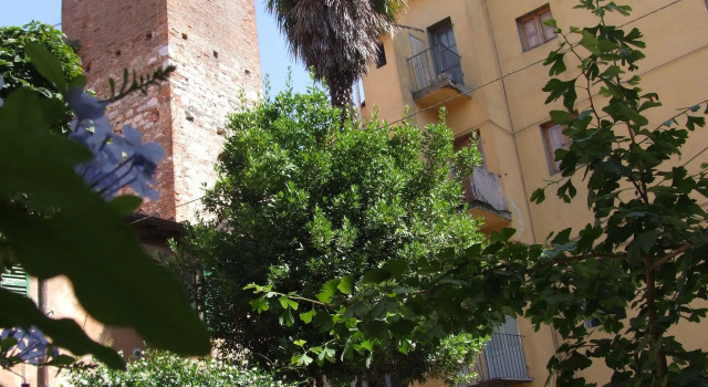 It 's located in the historic center of Pisa on the ground floor of a 17th century building