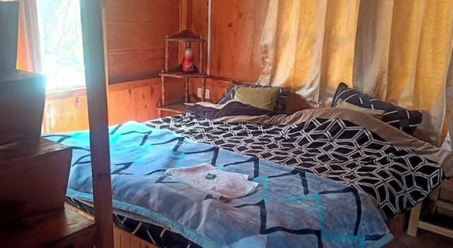 Swastika aashiyana tree house