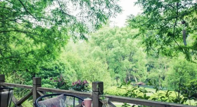 Wuyishan Yinglun Time Senhuo Homestay, Book Hotel Nanping Fujian