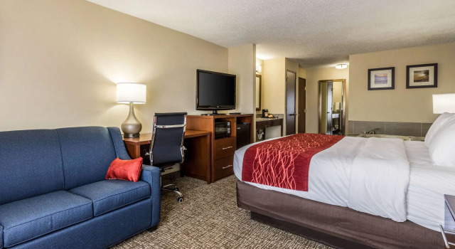 Люкс Comfort Inn Norwalk - Sandusky