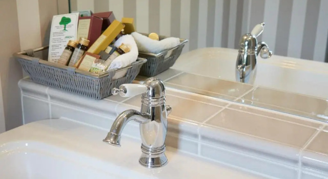 Двухместный номер Comfort Schloss Hotel Dresden Pillnitz