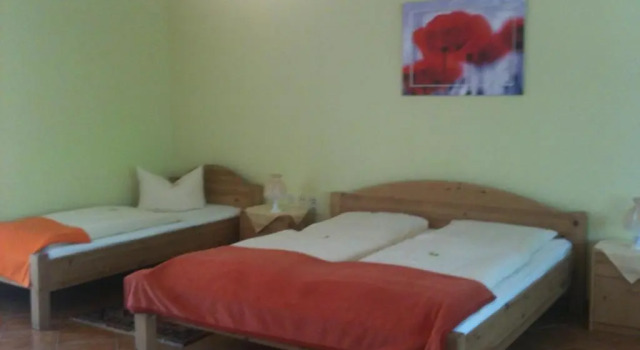 Двухместный номер Standard Hotel-Pension Am Mühlberg