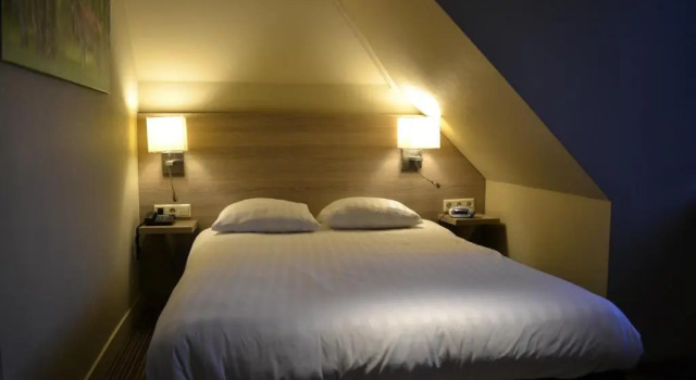 Двухместный номер Standard Fletcher Hotel Het Veluwse Bos