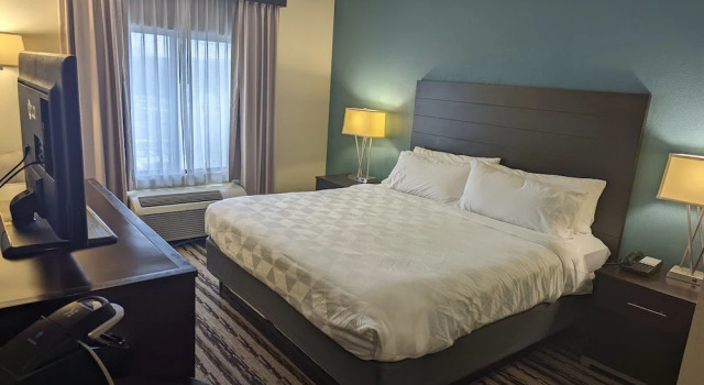 Люкс c 1 комнатой Holiday Inn Harrisburg East by IHG